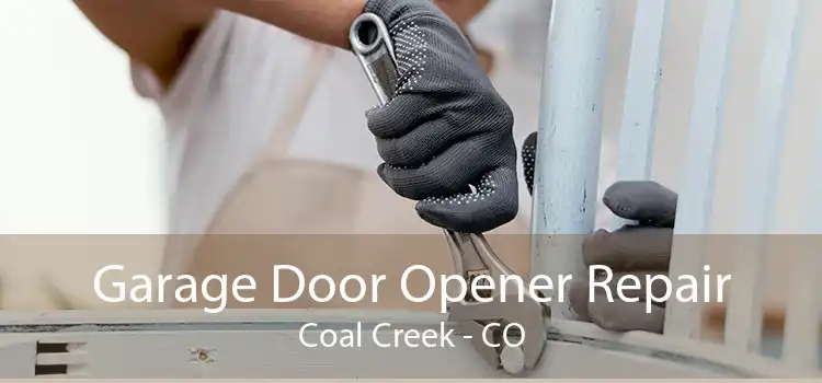 Garage Door Opener Repair Coal Creek - CO