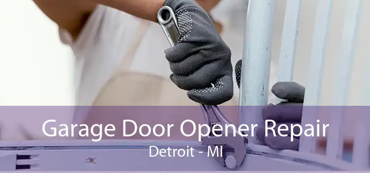 Garage Door Opener Repair Detroit - MI