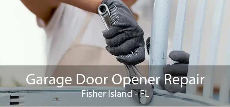 Garage Door Opener Repair Fisher Island - FL