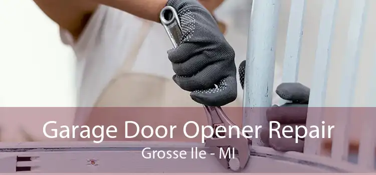 Garage Door Opener Repair Grosse Ile - MI