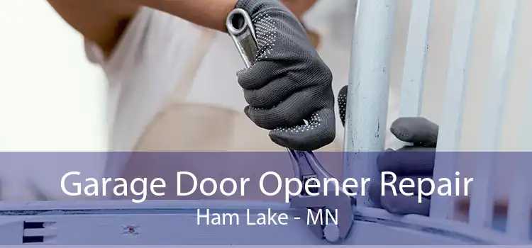 Garage Door Opener Repair Ham Lake - MN