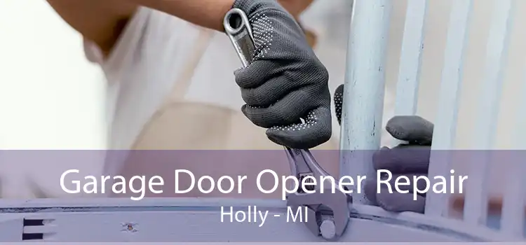 Garage Door Opener Repair Holly - MI