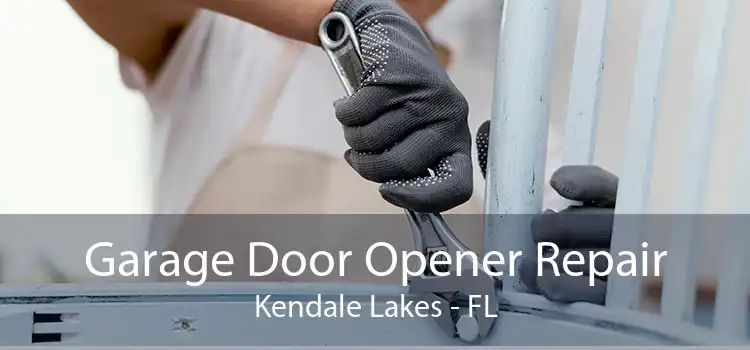 Garage Door Opener Repair Kendale Lakes - FL