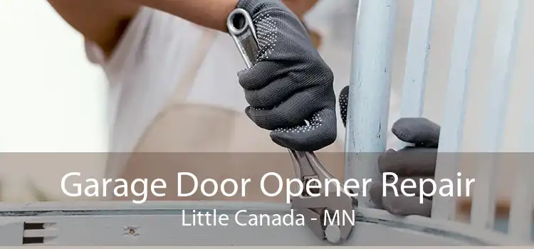 Garage Door Opener Repair Little Canada - MN