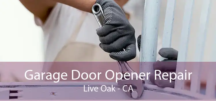 Garage Door Opener Repair Live Oak - CA