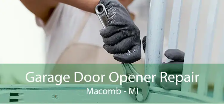 Garage Door Opener Repair Macomb - MI