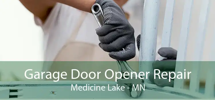 Garage Door Opener Repair Medicine Lake - MN