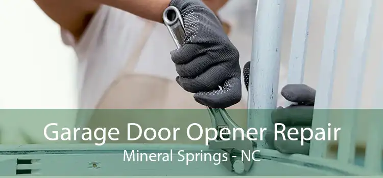 Garage Door Opener Repair Mineral Springs - NC