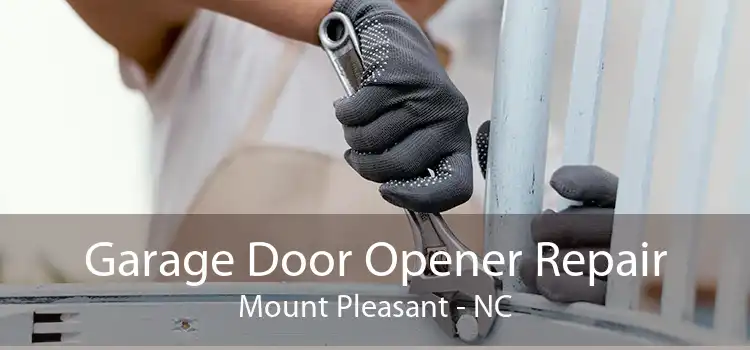 Garage Door Opener Repair Mount Pleasant - NC