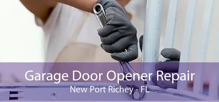 Garage Door Opener Repair New Port Richey - FL