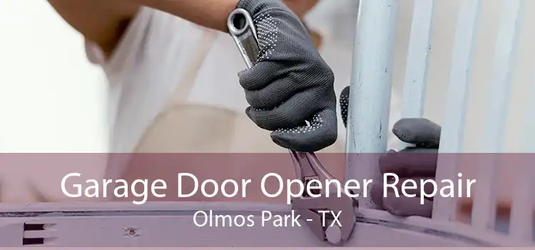 Garage Door Opener Repair Olmos Park - TX