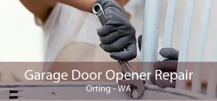 Garage Door Opener Repair Orting - WA