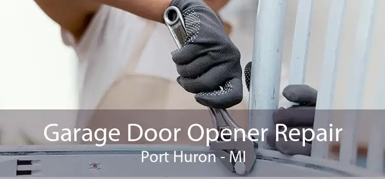 Garage Door Opener Repair Port Huron - MI