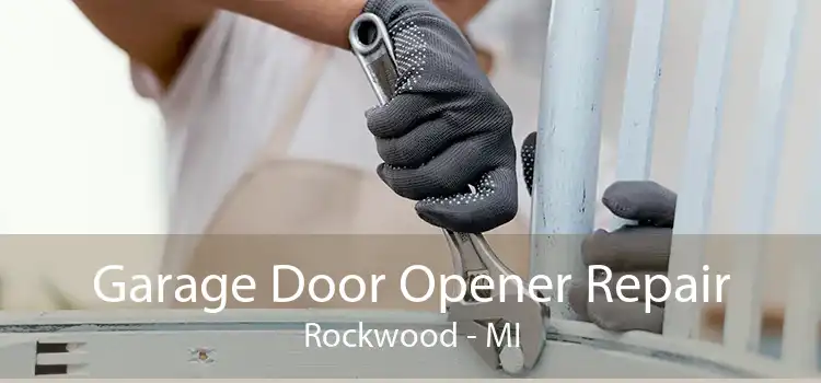 Garage Door Opener Repair Rockwood - MI