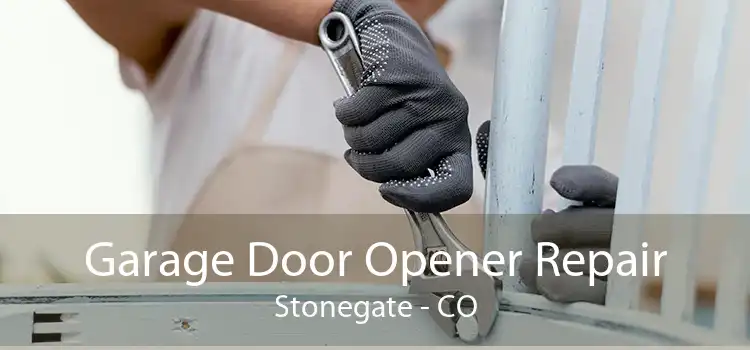 Garage Door Opener Repair Stonegate - CO