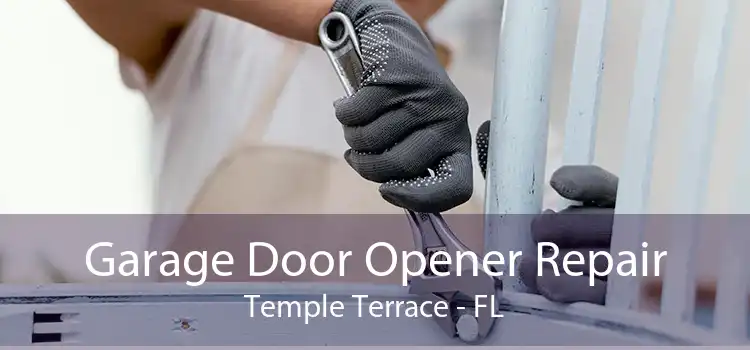 Garage Door Opener Repair Temple Terrace - FL