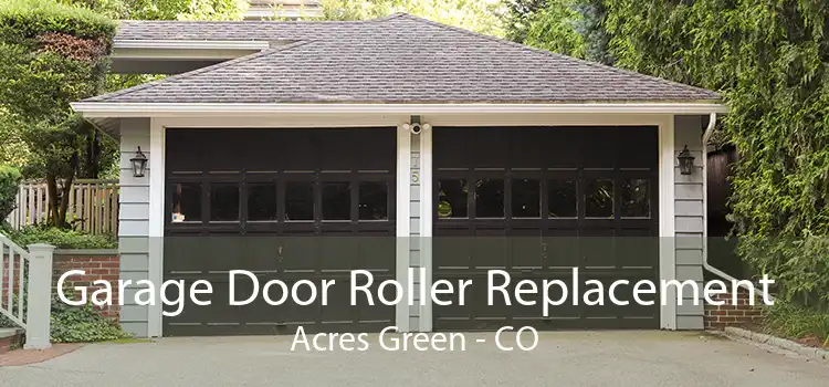 Garage Door Roller Replacement Acres Green - CO