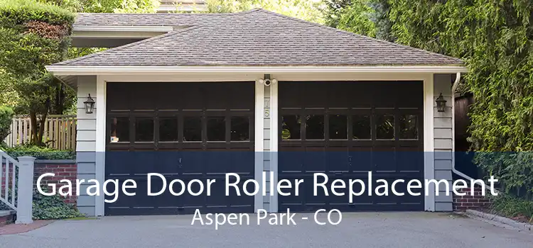 Garage Door Roller Replacement Aspen Park - CO