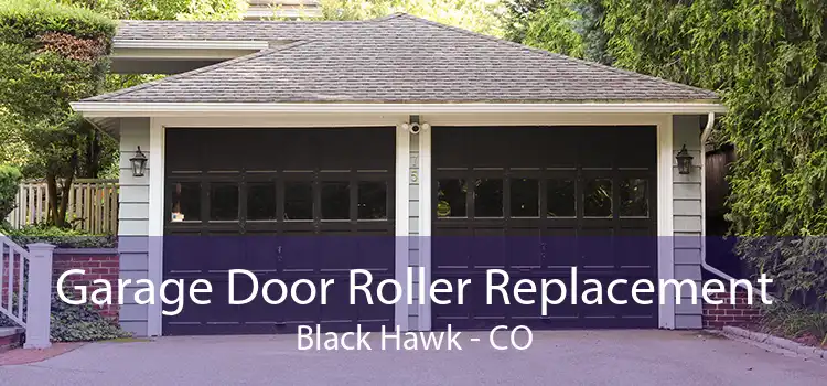 Garage Door Roller Replacement Black Hawk - CO