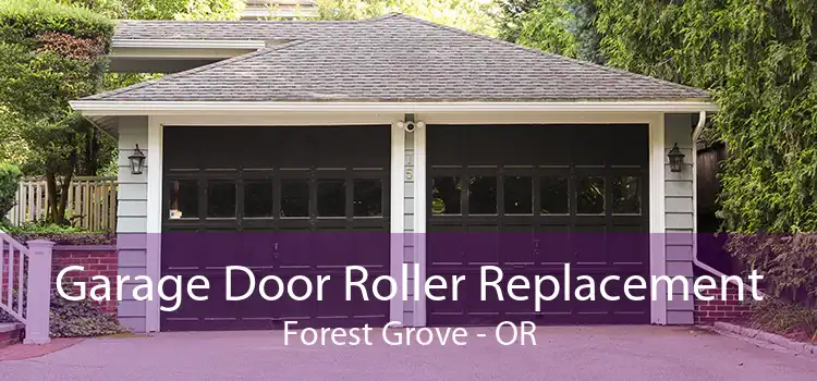 Garage Door Roller Replacement Forest Grove - OR