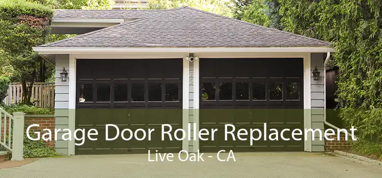 Garage Door Roller Replacement Live Oak - CA