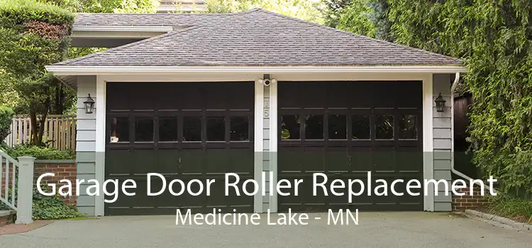 Garage Door Roller Replacement Medicine Lake - MN