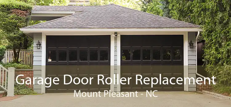 Garage Door Roller Replacement Mount Pleasant - NC