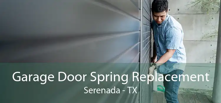 Garage Door Spring Replacement Serenada - TX